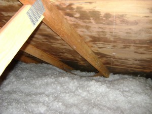 moldy attic small