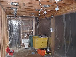 Mold Remediation | Mold Removal | Portland OR Mold Investigators